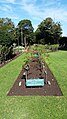 "The Roses of Picardy" rose-beds in Chatswood Memorial Gardens