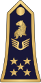 Général d'armée aérienne (Cameroon Air Force)