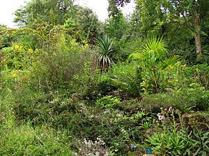 Jardin botanique du col de Saverne.