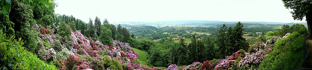 Rododendrony v parku Parco della Burcina v regióne Piemonte v Taliansku