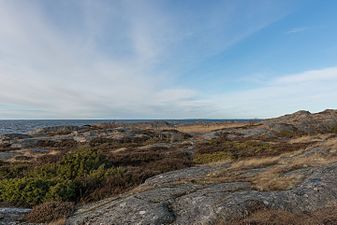 Landskap på norra Öja.