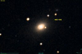 NGC 1305