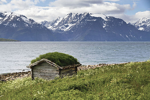 Барака са зеленим кровом у источној Норвешкој јуна 2012