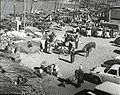 Un marché aux légumes sur le quai d'un petit port de pêche dans la ville de Koweït dans les années 1950.