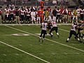 Vick scanning the field against the New Orleans Saints