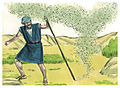 Harun mengulurkan tangannya dengan tongkatnya dan memukulkannya ke debu tanah, maka debu itu menjadi nyamuk di seluruh tanah Mesir.