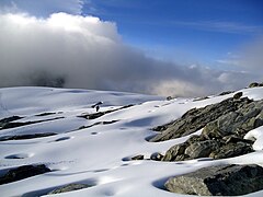 Klima vječnog mraza (EFH), Pico Humboldt