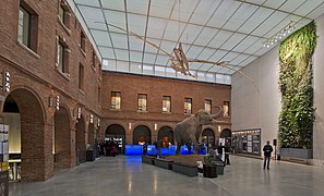 El «grand carré» de recepción del Museo de Historia Natural de Toulouse