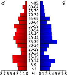 Schéma représentant la population du comté, par tranche d'âge. En rouge, à gauche, les femmes, en bleu à droite, les hommes.