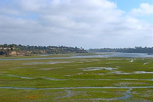 Upper Newport Bay