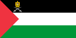 הדגל הפלסטיני