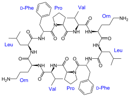 Structural formula of Gramicidin S