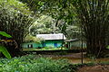 Green house - banco forest