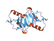 1jk6​: ne-kompleksirani DES 1-6 goveđi neurofizin