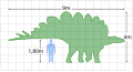 Comparatio amplitudine Stegosauri armati et hominis.