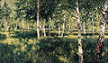 Bosque de bétulas, 1885-1889