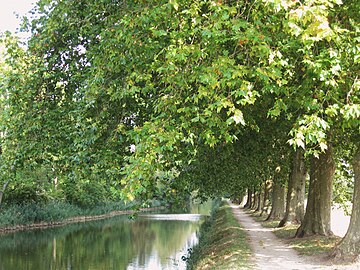 Chemin de halage du bief de Combleux en amont du pont de Chécy.