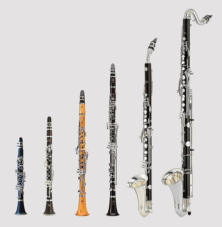 A♭-klarinet (sopranissimo), E♭-klarinet (sopranino), B♭-klarinet (soprano), bassetklarinet in A, altklarinet in E♭ en basklarinet in B♭ (Frans systeem)