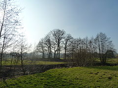 De heuvel gezien vanuit het oosten met op de voorgrond de Geul