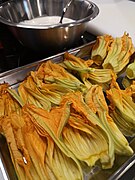 Flowers of zucchini