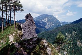 Reichraminger Hintergebirge din Parcul Național Alpii Calcaroși