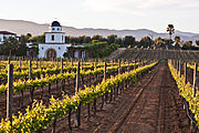 Valle de Guadalupe Hot-summer mediterranean climate (Csa)