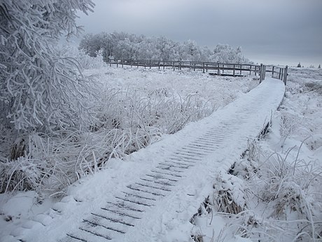 La Fagne wallonne sous la neige