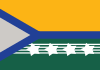 Flag of Pimenta Bueno