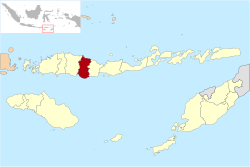 Location within East Nusa Tenggara