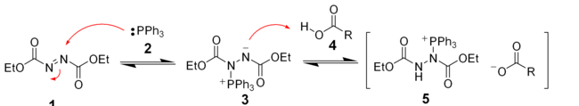 The initial stages of the mechanism proposed for the Mitsunobu reaction.