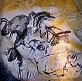 Iste animales sur le muro del caverna francese de Chauvet era pingite per humanos ante circa 31.000 annos