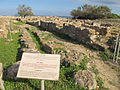 Vista do sitio arqueolóxico