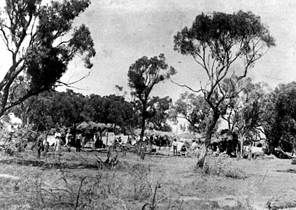 Лагерь забастовщиков-стригалей под эвкалиптовыми деревьями в Баркалдине, 1891 год.