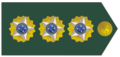 Brazil (Coronel)