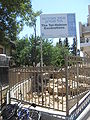 vestiges d'une antique muraille à Tel Romeida
