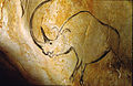 Rhinocéros à grande corne représenté dans la grotte Chauvet.