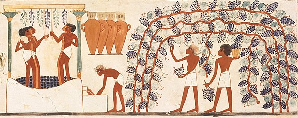 Borkészítés az ókori Egyiptomban