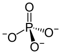 Phosphatum