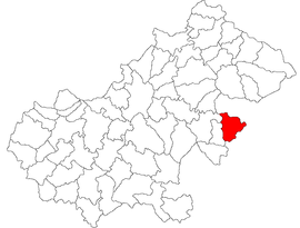 Location in Satu Mare County