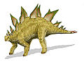 Stegosaurus viveu durante o Jurassico tardio.