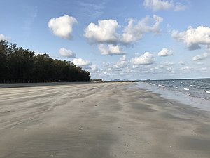 Do you like the beach?