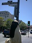 A woman wearing a niqab in the United States, 2008