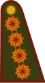 Exército da Argentina (Teniente General[1])