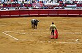 Matador