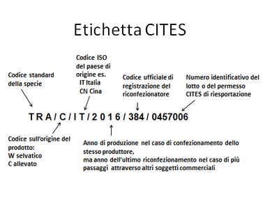 Etiqueta CITES