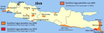 Mapa Jávy s vyznačenými místy posledních pozorování tygra: na pobřeží nejzápadnějšího okrsku (Ujung Kulon) a nejvýchodnějších (Baluran, Metu Betiri) okrsků ostrova a na jižním břehu ostrova jihovýchodně od Jakarty (Leuweung Sancang). Vyznačeno je též rozšíření tygra kolem roku 1940 – kromě uvedených oblastí ještě ostrůvkovitě v západní polovině ostrova