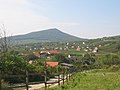 Viticulture near Villány