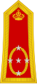 Général d'armée (Royal Moroccan Army)
