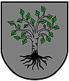 Wappen von Birkfeld