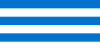 Flag of Tallinn